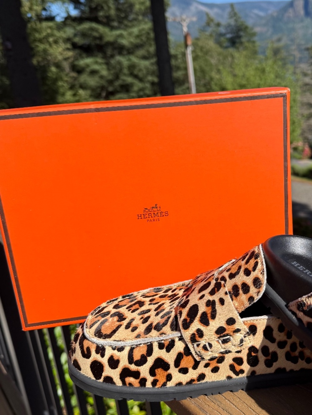 Go Mules Men's Leopard print calf hair featuring a penny loafer-style strap